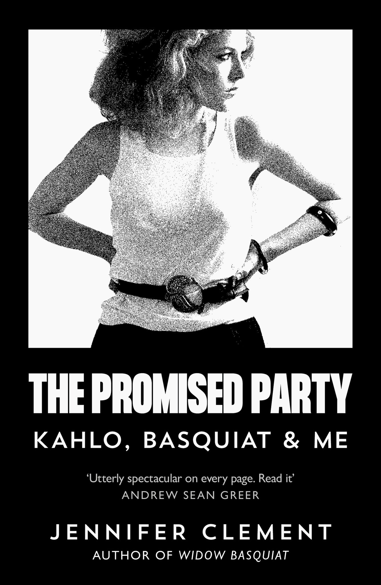 Cover image for The Promised Party ISBN 9781838859305